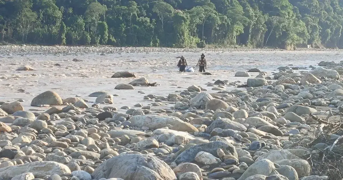 Imagen sin título