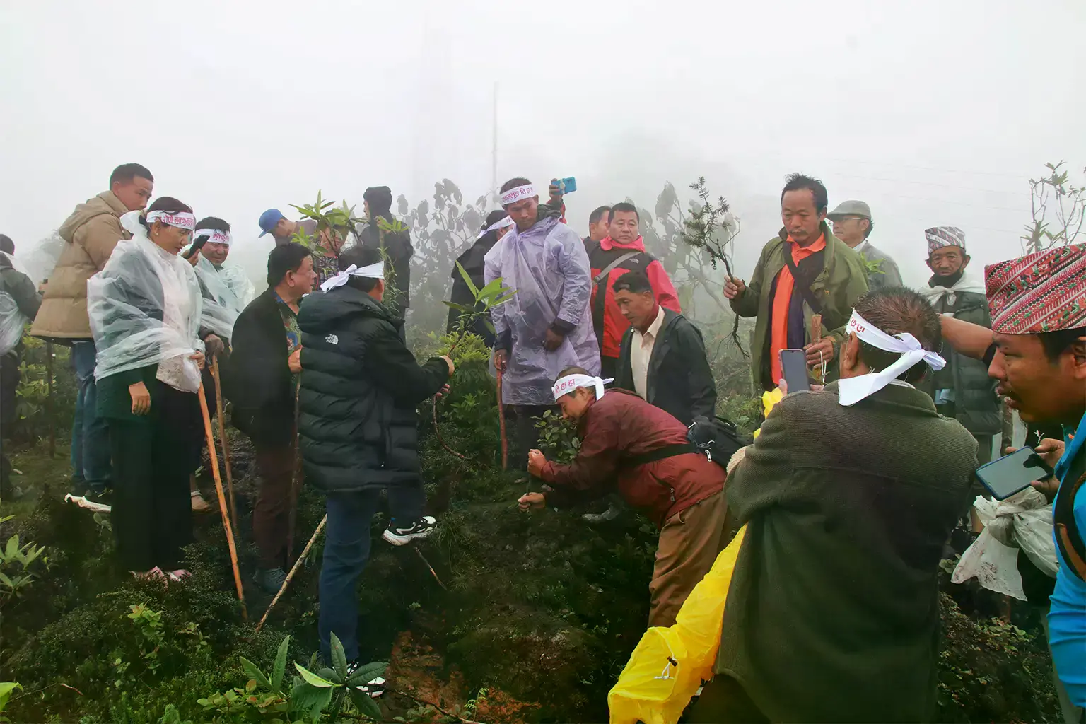 Tala de árboles para el proyecto del teleférico de Pathibhara en mayo.