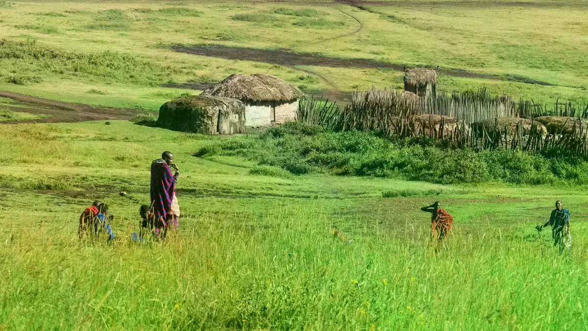 Gcina Dlamini y su sobrino recolectando miel fuera de Lavumisa, Eswatini.