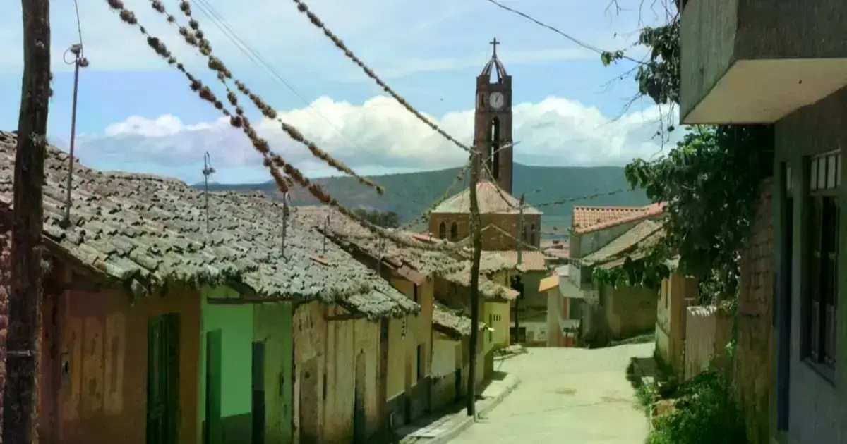 Imagen sin título