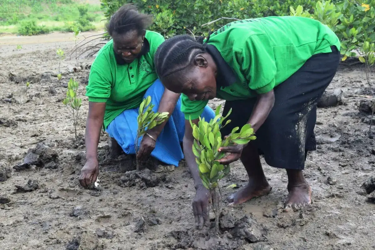 Un hombre sostiene un árbol joven en un vivero de Doldol, condado de Laikipia, Kenia.