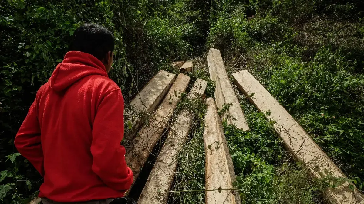 Camiones en el Parque Industrial de la Bahía de Weda, una de las mayores minas de níquel del mundo.