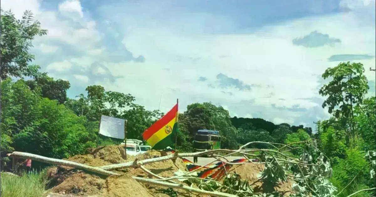 Imagen sin título