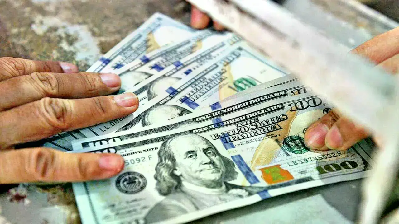 Foto referencial de dólares.