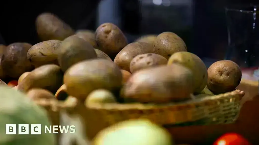 Un gran montón de patatas almacenadas en una explotación agrícola.