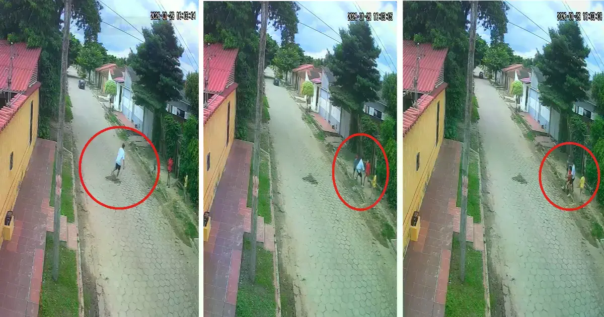 Imagen sin título