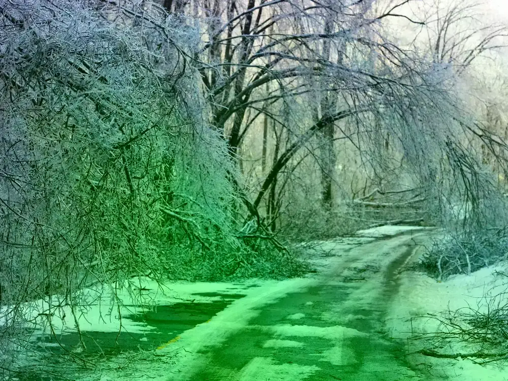 Árboles y postes de luz caídos cubiertos de hielo en Nashville, Tennessee.