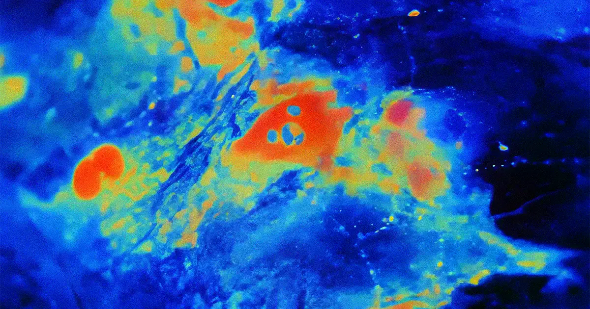 Ondas de calcio, reveladas por un tinte fluorescente, se propagan por una capa de astrocitos.