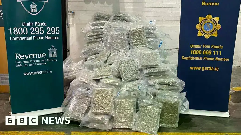 506kg de cannabis fue incautado en la redada