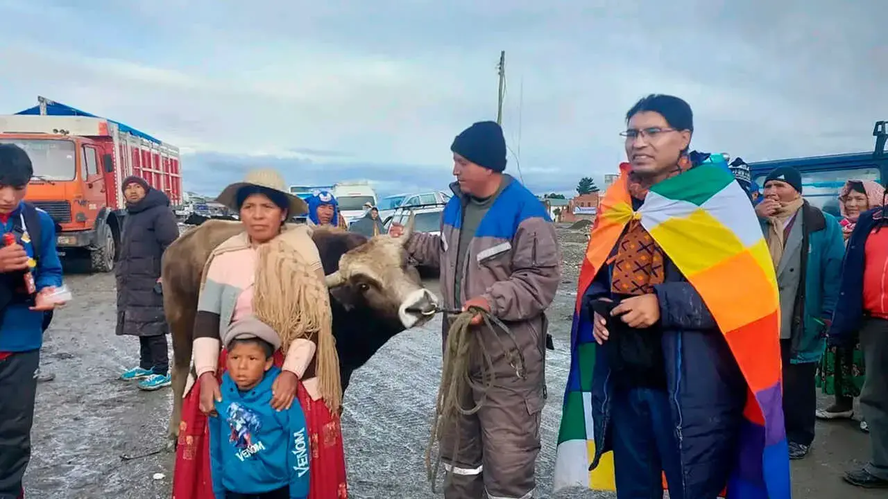 Imagen sin título