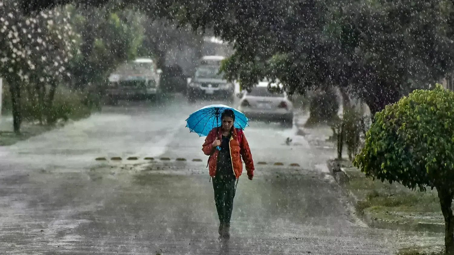 Una mujer se protege de la lluvia con un paraguas.