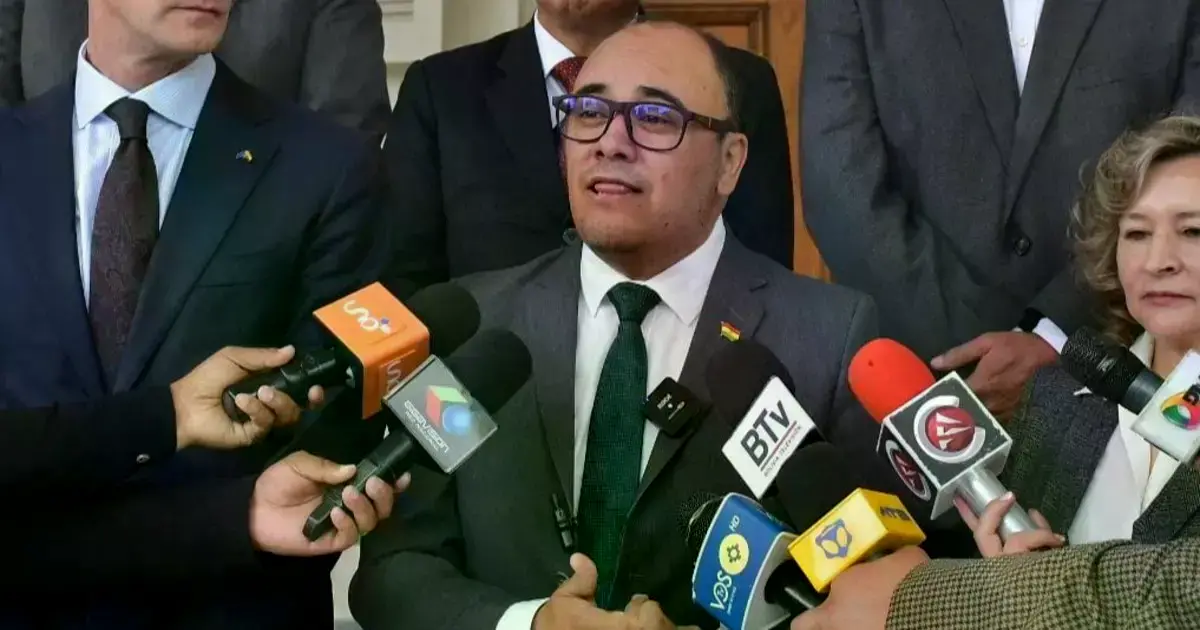 El presidente del TSE tras la reunión con la Unión Europea.