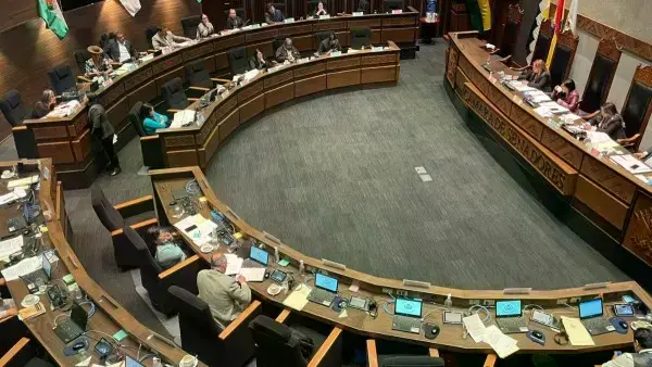 Sesión del pleno del Senado de Bolivia.