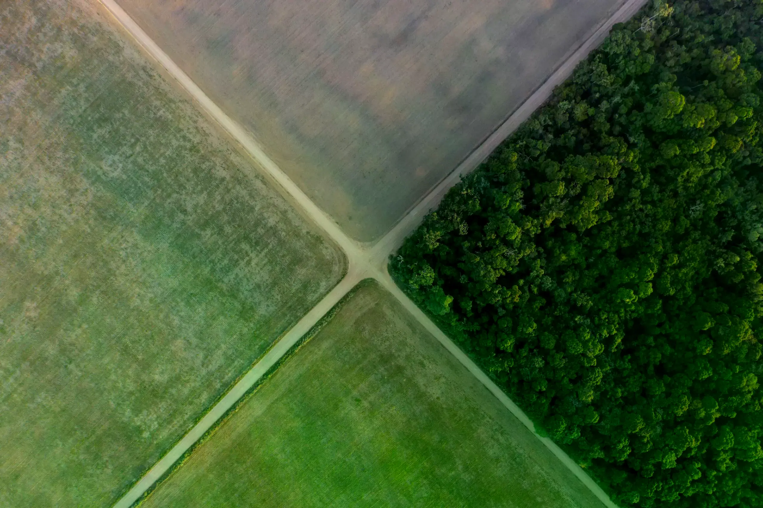Una sección de la selva amazónica junto a campos de soja en Belterra, estado de Pará, Brasil.