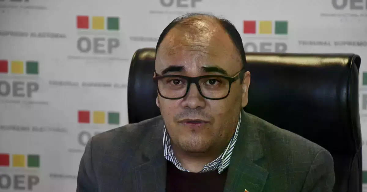 El presidente del Tribunal Supremo Electoral (TSE), Gustavo Ávila.