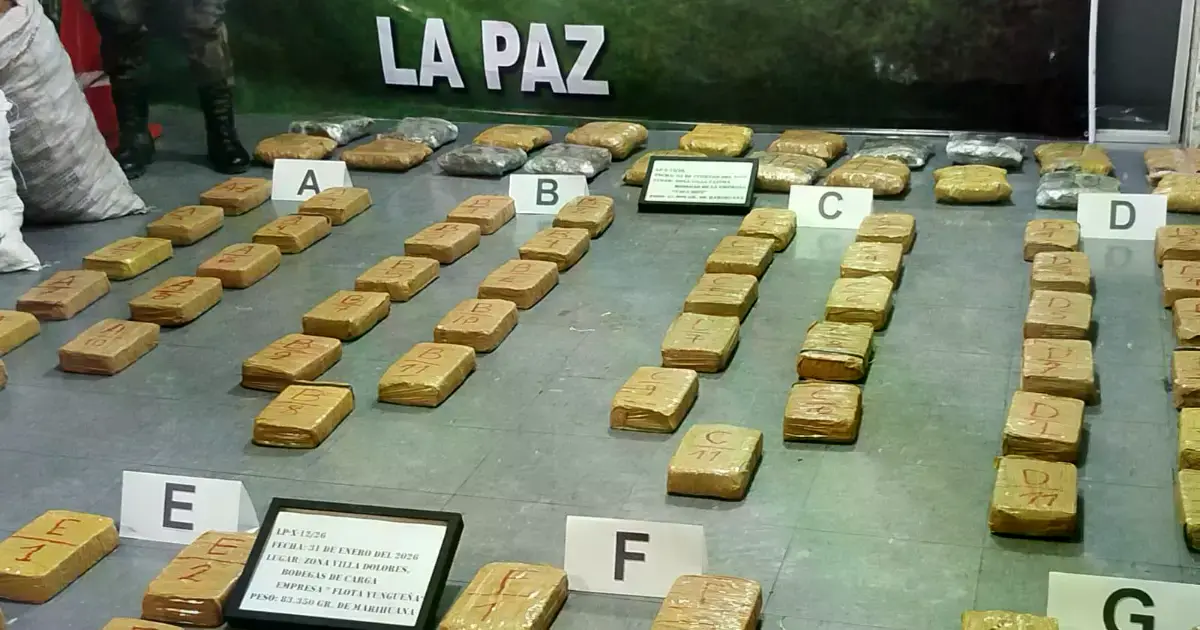 Los paquetes de marihuana estaban camuflados en costales.