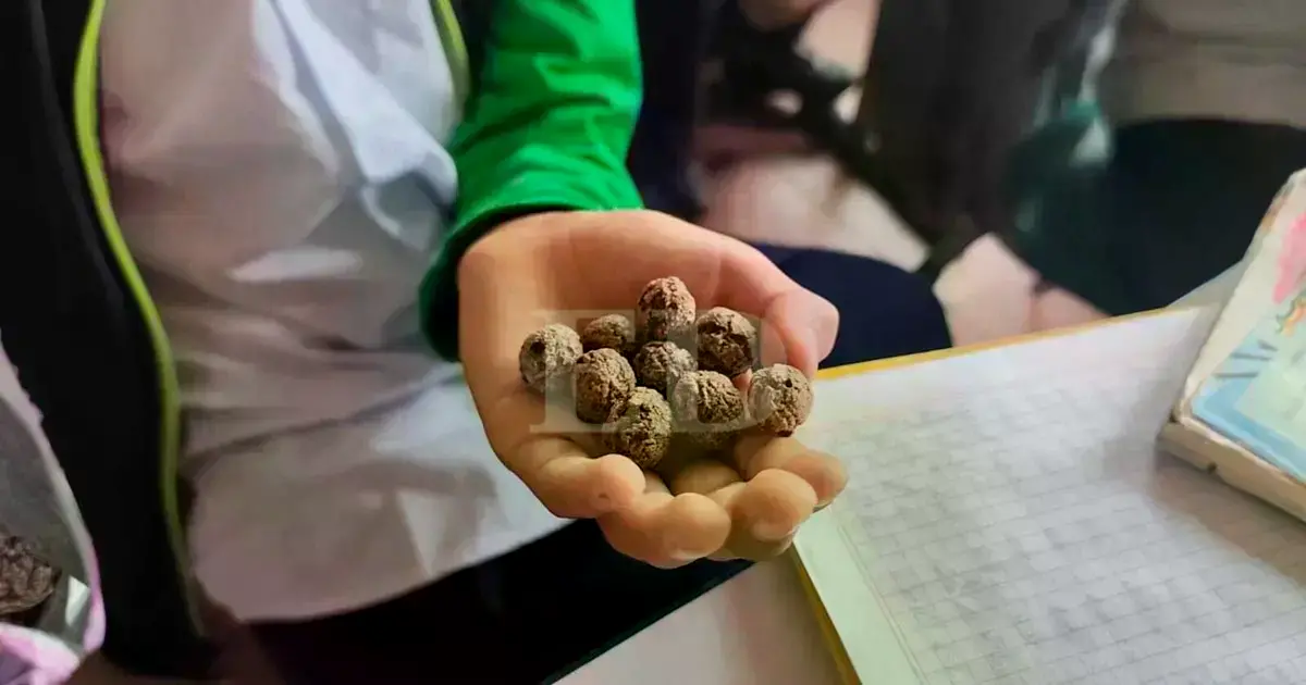 Ración seca entregada en algunos colegios