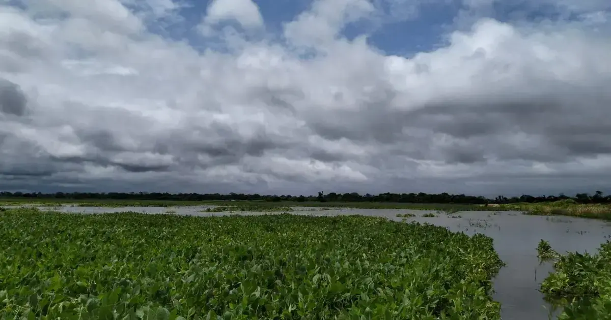 Zona afectada por las inundaciones en El Puente