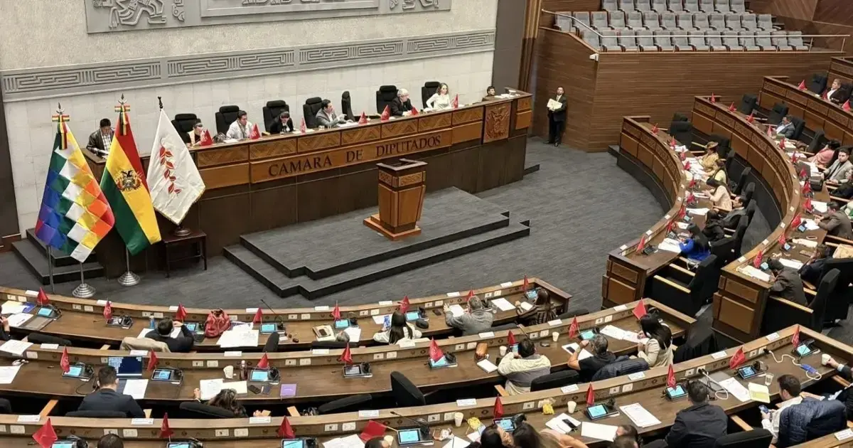 Sesión de la Cámara de Diputados.