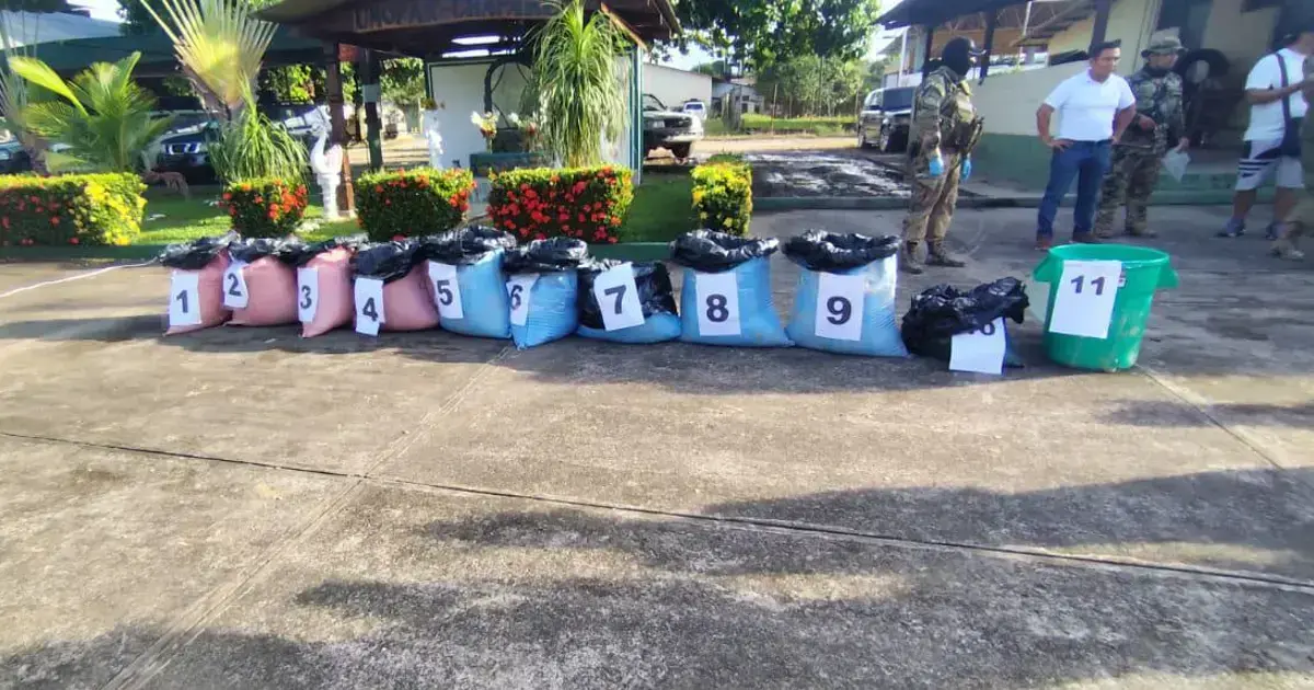 La droga incautada en el operativo.