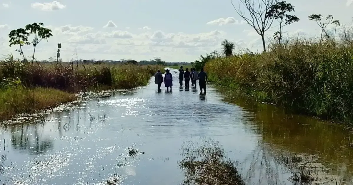 Sembradio de soya