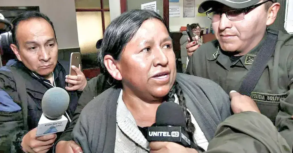 Archivo de Nemesia Achacollo.