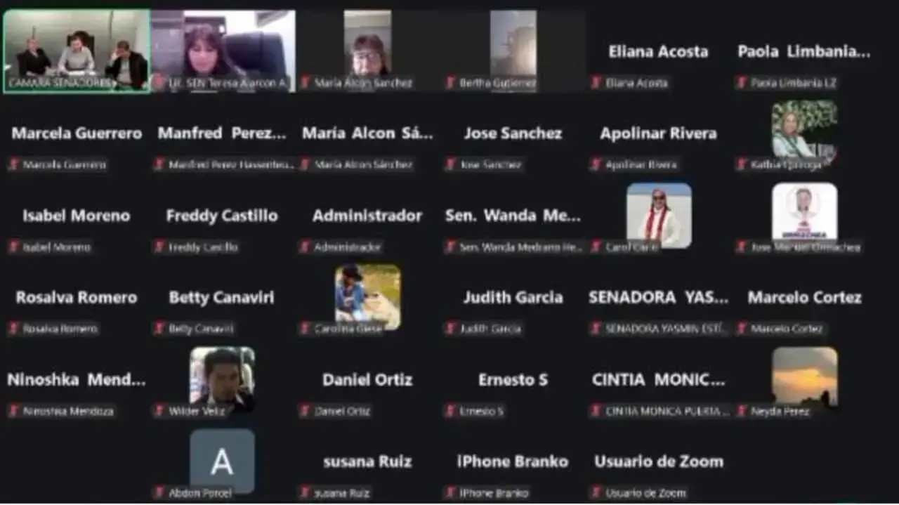 Sesión del Senado por Zoom.
