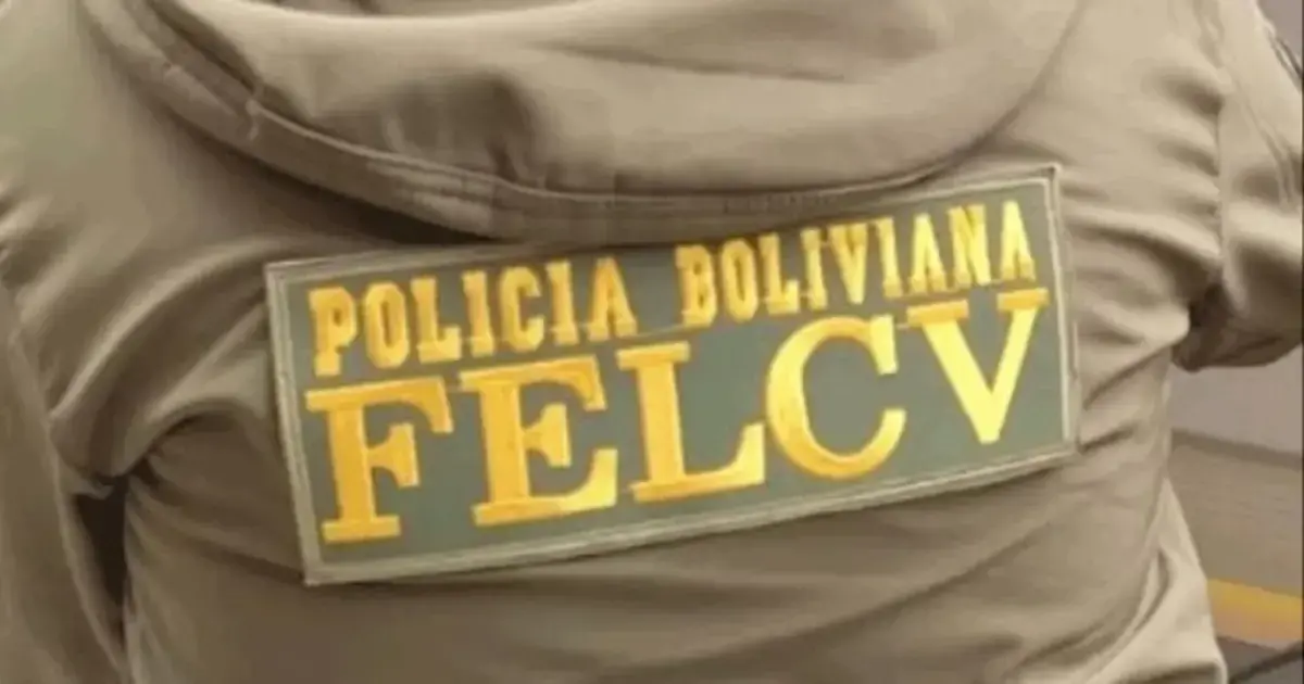 Imagen sin título