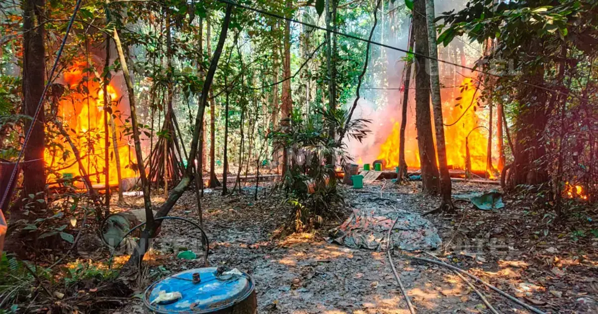 Operativo de la Fuerza Especial de Lucha Contra el Narcotráfico