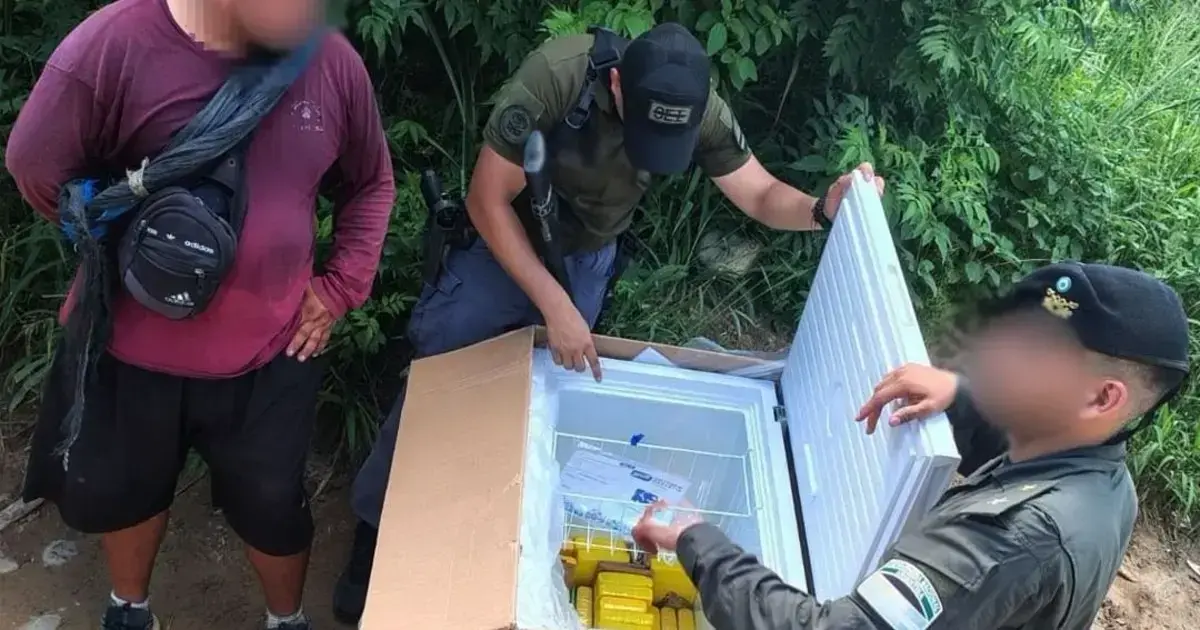 El freezer en el que ocultaban la droga.