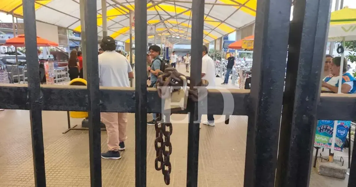 Imagen sin título