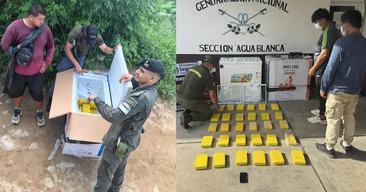 Hombre detenido por la Gendarmería de Salta con un freezer que contenía droga.