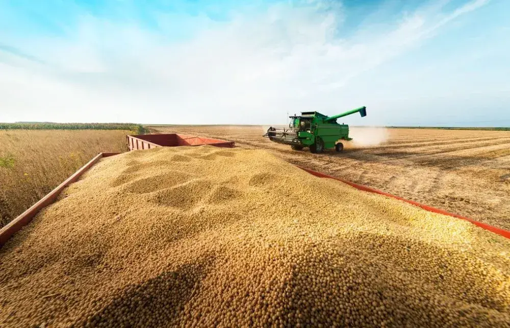 Almacenamiento de soja en Mato Grosso, Brasil.
