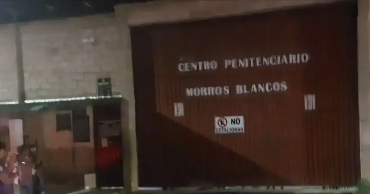 Imagen sin título
