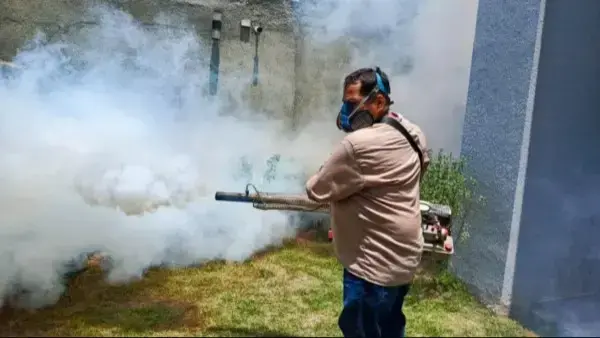 Personal del Sedes de Santa Cruz fumiga para evitar criaderos de mosquitos.
