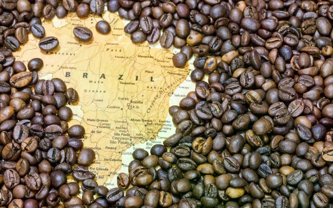 Gráfico o imagen representativa de las exportaciones de café de Brasil.