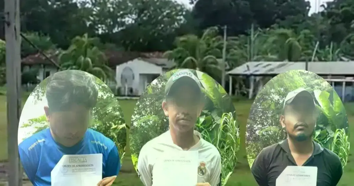 Imagen sin título