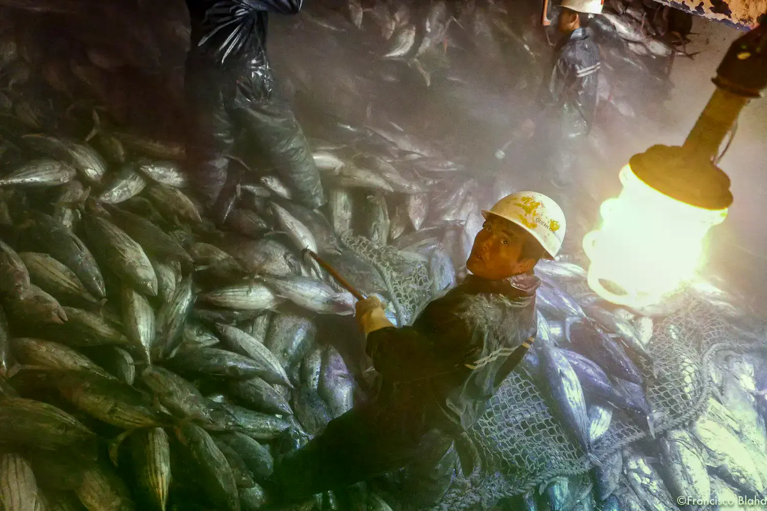 Un buque pesquero de la empresa Dalian Ocean Fishing en el Atlántico, conocida por maltrato a tripulación migrante.