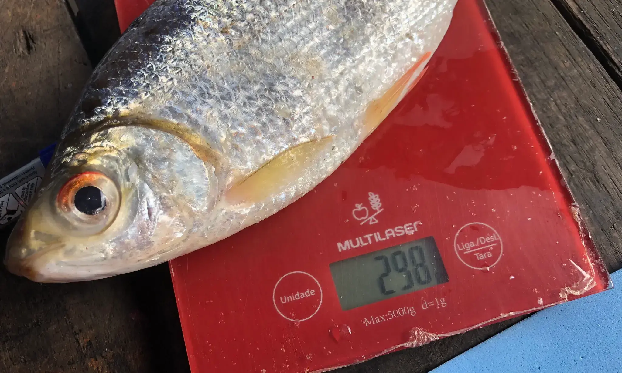 Pescador Raimundo Nonato dos Santos observa la disminución de peces en el Lago Puruzinho.