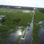 El Puente declara estado de desastre por inundaciones que afectan miles de hectareas
