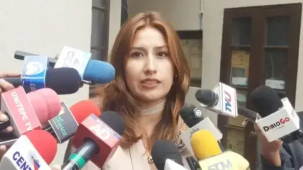 La diputada Sofía Rocha, de Alianza Libre.