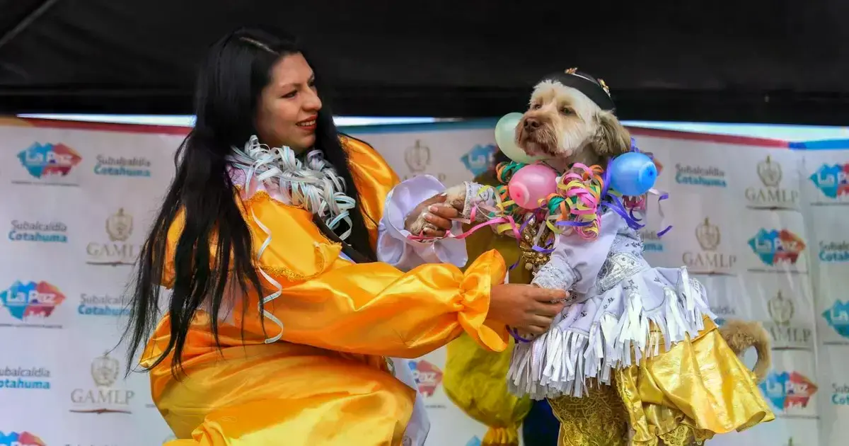 Un perro disfrazado de 'Pepino' durante el desfile de mascotas en La Paz.