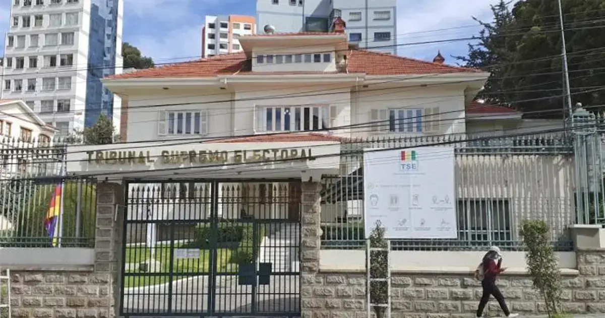 Logotipo o imagen del Tribunal Supremo Electoral (TSE).