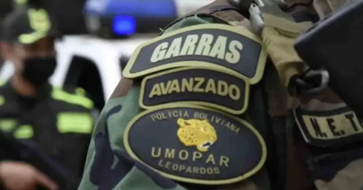 Imagen sin título