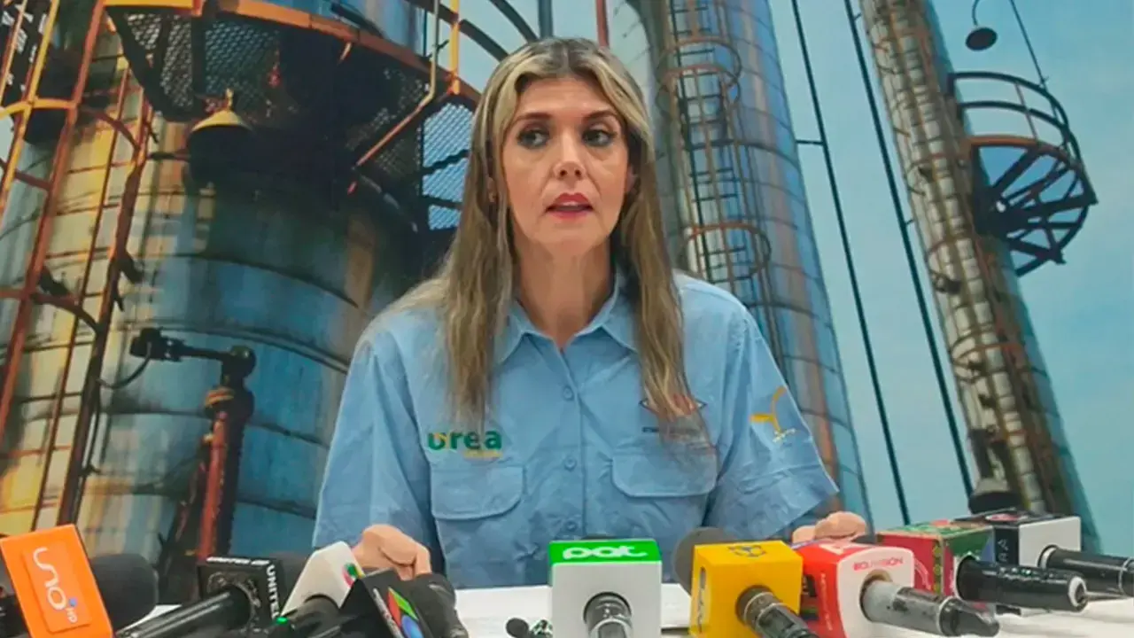 La exgerente de Productos Derivados e Industrializados, Gabriela Delgadillo.