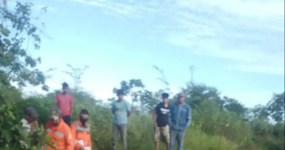 Imagen sin título