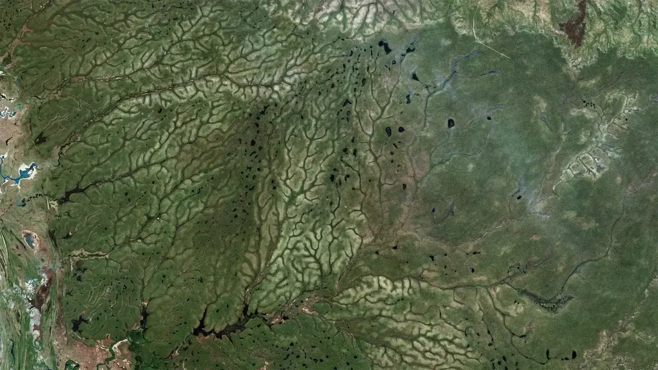 Comparación de cómo ocho conjuntos de datos diferentes clasifican los bosques en una misma zona de Colombia.
