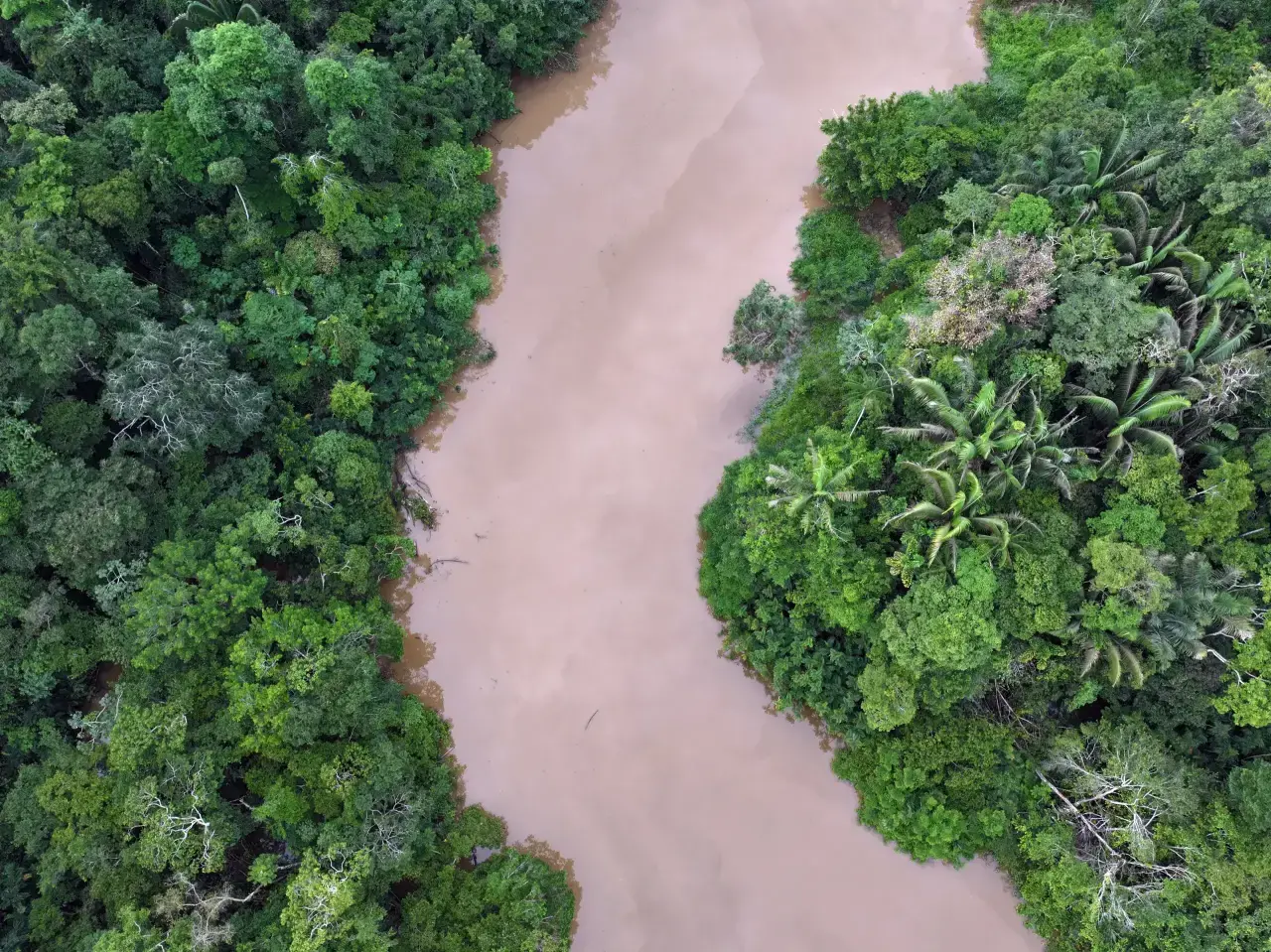 Un río en la selva amazónica.