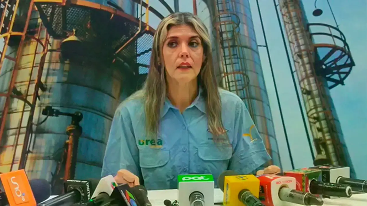 La exgerente de Productos Derivados e Industrializados, Gabriela Delgadillo.