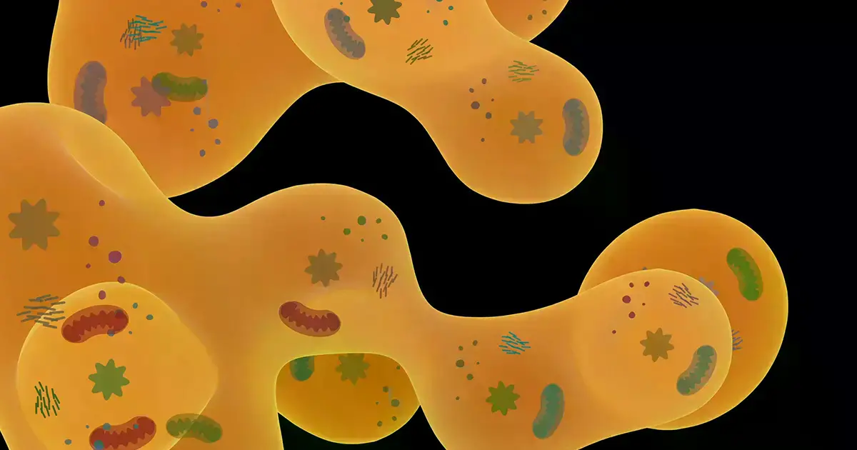 Nanopartículas GEM (verdes) se mueven por el citoplasma de una célula pancreática humana. El magenta es actina y el azul es A
